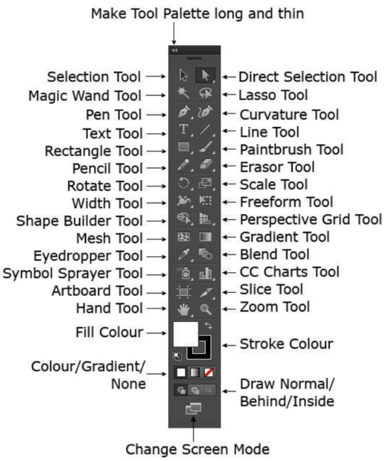 Adobe Illustrator Tools & Shortcuts - A Complete Guide